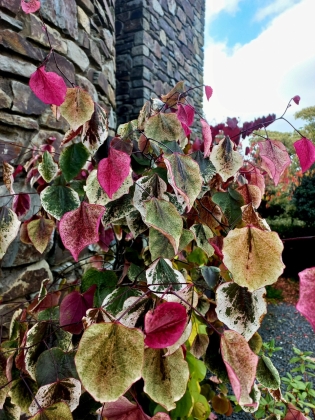 Les jardins du Florilège à Bastogne (Belgique) - 10/2025