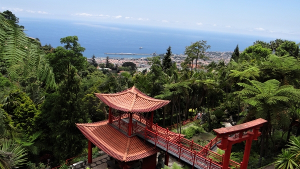 Madère Madeira Palais Monte Jardin tropical